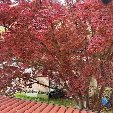 Casa Dell'acero Rosso *