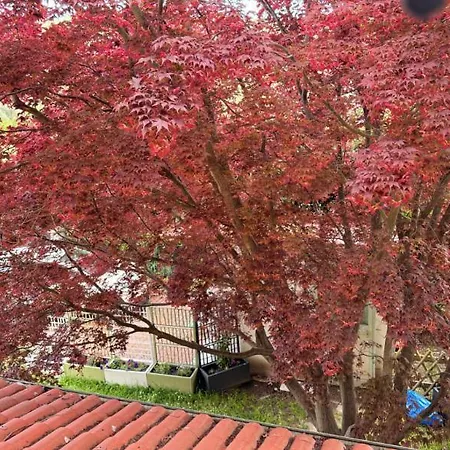 Casa Dell'acero Rosso *