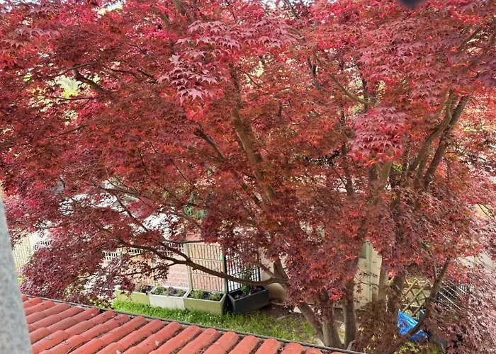 Casa Dell'acero Rosso *